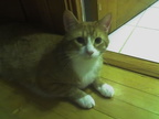 rubens 2007-03-27 3e