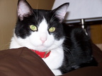 carlos 2005-03-30 7e