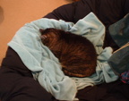 emily 2001-10-14 2e