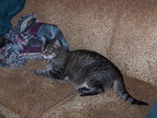 emily 2004-06-22 3e