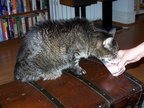 emily 2004-10-22 1e