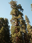 yosemite 2005-08-29 103e